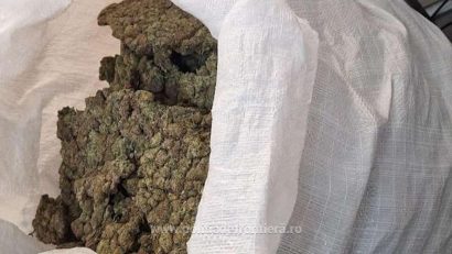 Aeroportul Otopeni: Captură de aproximativ 22 de kilograme de canabis