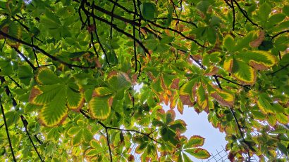 Vreme de toamnã, perfectã pentru evenimentele organizate in weekend, in Capitalã