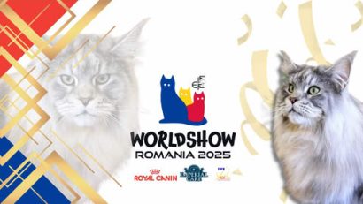 Când frumusețea toarce: Bucureștiul găzduiește Campionatul Mondial de Frumusețe Felină 2025