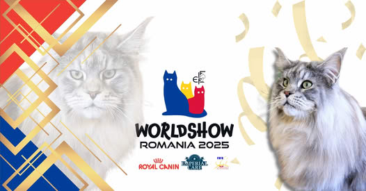 Când frumusețea toarce: Bucureștiul găzduiește Campionatul Mondial de Frumusețe Felină 2025