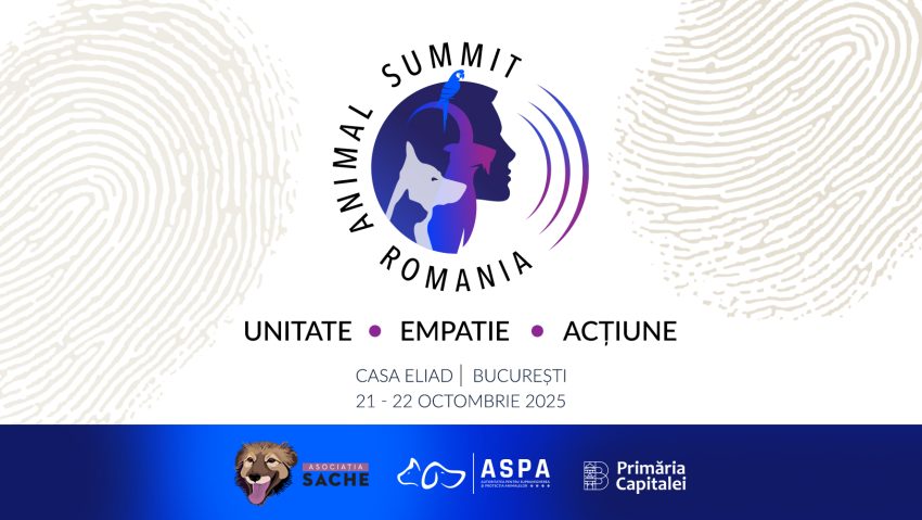 Primul summit interdisciplinar dedicat protecției animalelor are loc în această toamnă, la București