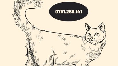 Căsuțe gratuite, construite pentru pisicile fără stăpân