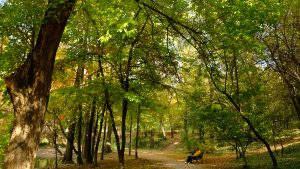 Vreme frumoasă în Bucureşti vineri şi sâmbătă; maxime termice de 29 de grade Celsius