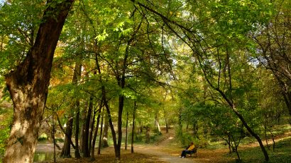 Vreme frumoasa dar rece dimineata