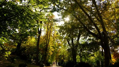 Vremea continua sa se incalzeasca