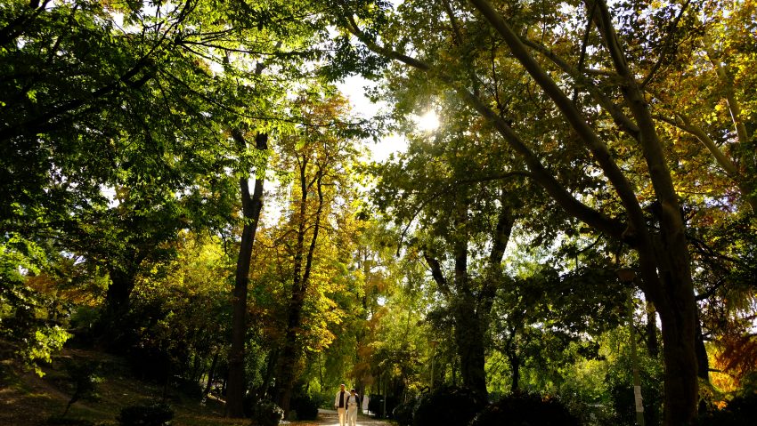 Vremea continua sa se incalzeasca