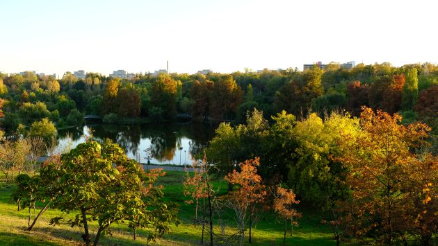 ANM: Duminică, vremea va fi frumoasă și caldă în București