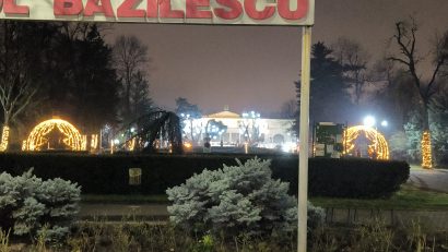 Parcurile Bazilescu și Brătianu, între imaginea istorică și defrișarea de copaci?