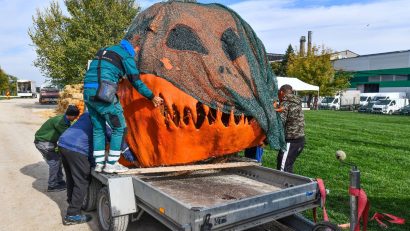 Sector6: Pregatiri pentru West Side Hallo Fest! A sosit dovleacul uriaaaș!