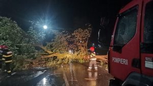 ISUBIF: Pompierii au îndepărtat patru copaci doborâţi de vânt în Capitală