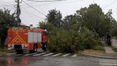 ISUBIF: Copac căzut pe o maşină aflată în mers pe Splaiul Unirii; o persoană rănită – are leziuni minore