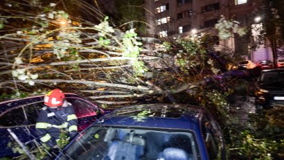 ISU Bucureşti-Ilfov: 77 de intervenţii ale pompierilor în urma copacilor căzuţi şi a acumulărilor de apă