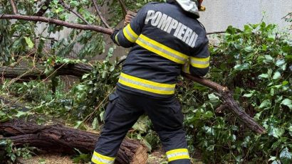 242 de copaci cazuti, 166 de masini avariate