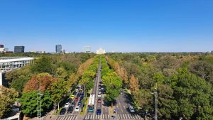 Ce faci în București weekendul acesta? Evenimente de neratat 14–16 noiembrie