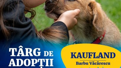 ASPA anunță un nou târg de adopții