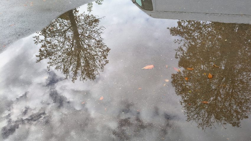 Ploi temporare la Bucureşti şi o temperatură maximă care nu trece de 8 grade, în următoarele zile