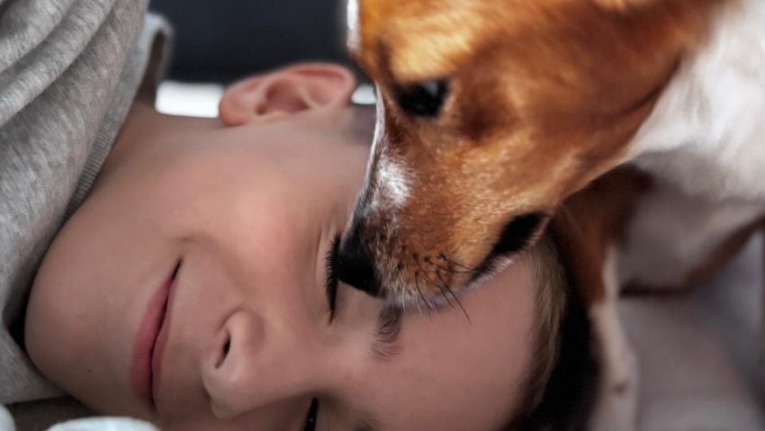 ASPA: Târg de adopții, la Muzeul MINA, înainte de Moș Nicolae