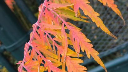 Luni, vreme frumoasã