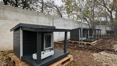 Noi ţarcuri speciale de reabilitare pentru căţei, amenajate la ASPA Mihăileşti