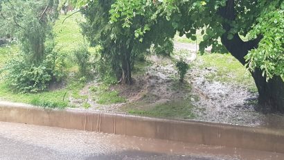 A salvat Primăria Sectorului 5 Parcul “Romniceanu” de rechinii imobiliari?