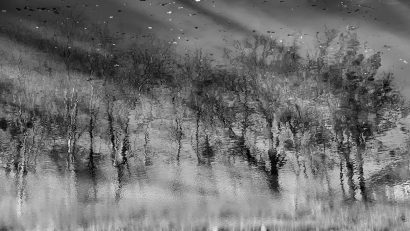 INKORPORE – O expoziție despre emoție, formă și spațiul dintre ele, de văzut de pe 25 noiembrie