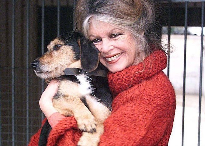 Ne-a parasit legendara actrița franceza Brigitte Bardot. Avea 91 de ani