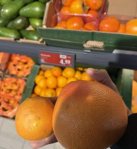 ”Suntem bătaia de joc a importatorilor de citrice”, spune șeful ANPC