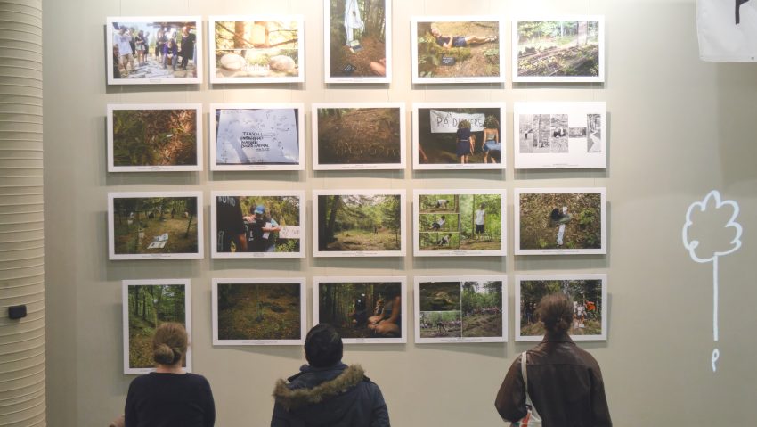 Expoziția ”Natural Bond 1–5.  Retrospectiva 2021–2025” a ajuns la final