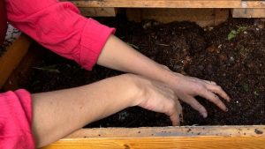 Primăria Municipiului București: se extinde rețeaua de compostare comunitară