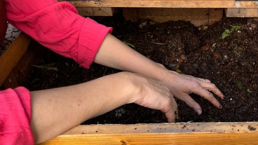 Primăria Municipiului București: se extinde rețeaua de compostare comunitară