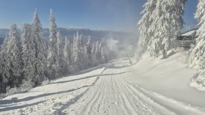 S-au închis școli din 15 județe din țară din cauza vremii!