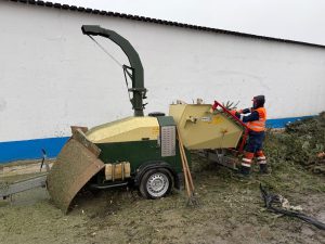 facebook/PrimariaSector2