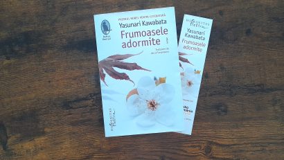 Bine de citit: “Frumoasele adormite”