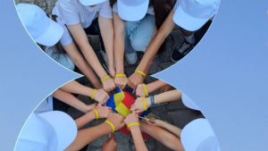 Românii de Pretutindeni vor avea un nou sistem digital: licitație de 36,4 milioane lei pentru servicii online