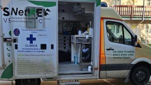 Campanie de sterilizări gratuite pentru pisici, în Sectorul 4