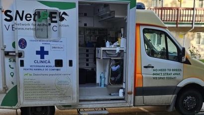 Campanie de sterilizări gratuite pentru pisici, în Sectorul 4