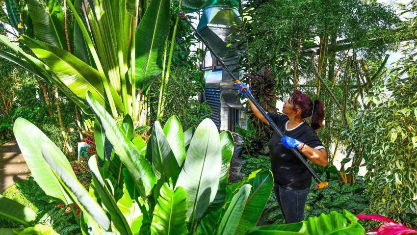 Sector 6: Iarna e ca vara, la serele exotice din Parcul Drumul Taberei