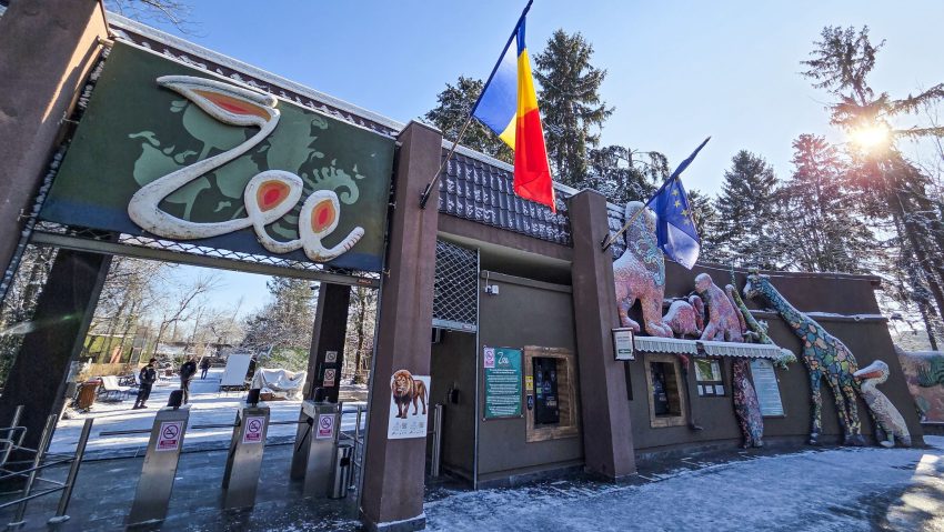 Regim special de iarnă pentru animalele de la Zoo București
