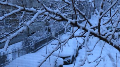 ISUBIF: Bucuresti- 84 de copaci indepartati si 7 elemente de constructie desprinse, 32 autoturisme avariate