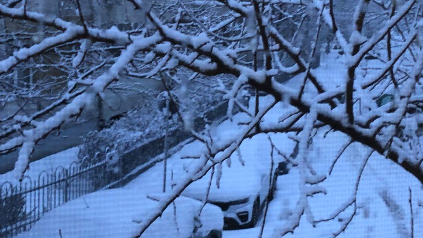 ISUBIF: Bucuresti- 84 de copaci indepartati si 7 elemente de constructie desprinse, 32 autoturisme avariate