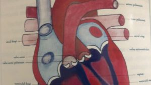 Bolile cardiace la copii- de la diagnostic la chirurgia cardiovasculară pediatrică