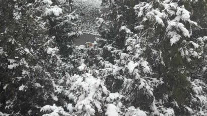 Recomandări ale Ministerului Sănătăţii pentru perioadele cu temperaturi extrem de scăzute