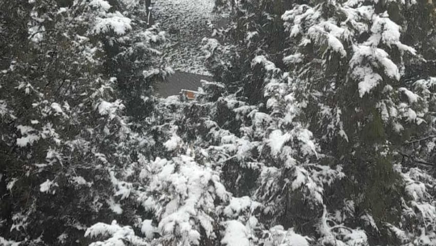 Recomandări ale Ministerului Sănătăţii pentru perioadele cu temperaturi extrem de scăzute