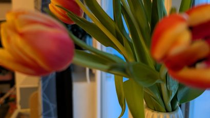 Bucuria cadourilor de 8 Martie poate fi umbrită de infractorii cibernetici