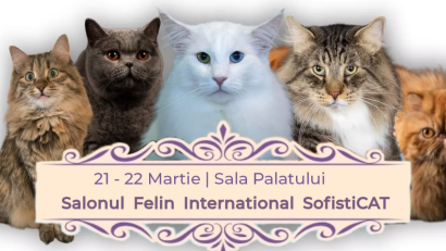Salonul Felin Internațional SofistiCAT are loc în weekend, la Sala Palatului