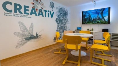 Rogobete: Vom constitui un grup de lucru care va elabora un program naţional dedicat adicţiilor