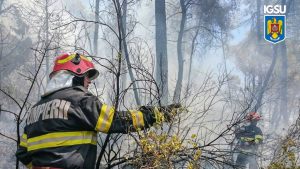 Primele incendii de vegetație din 2026 după încălzirea vremii. IGSU reamintește că arderea vegetației este ilegală și periculoasă