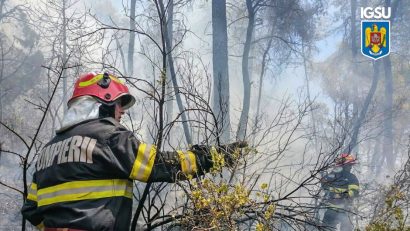 Primele incendii de vegetație din 2026 după încălzirea vremii. IGSU reamintește că arderea vegetației este ilegală și periculoasă