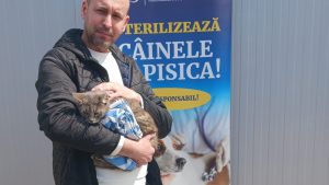 Campanie de sterilizări gratuite pentru pisici, pe 4 şi 5 aprilie, în şos. Olteniţei