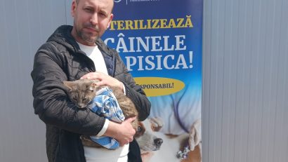 Campanie de sterilizări gratuite pentru pisici, pe 4 şi 5 aprilie, în şos. Olteniţei